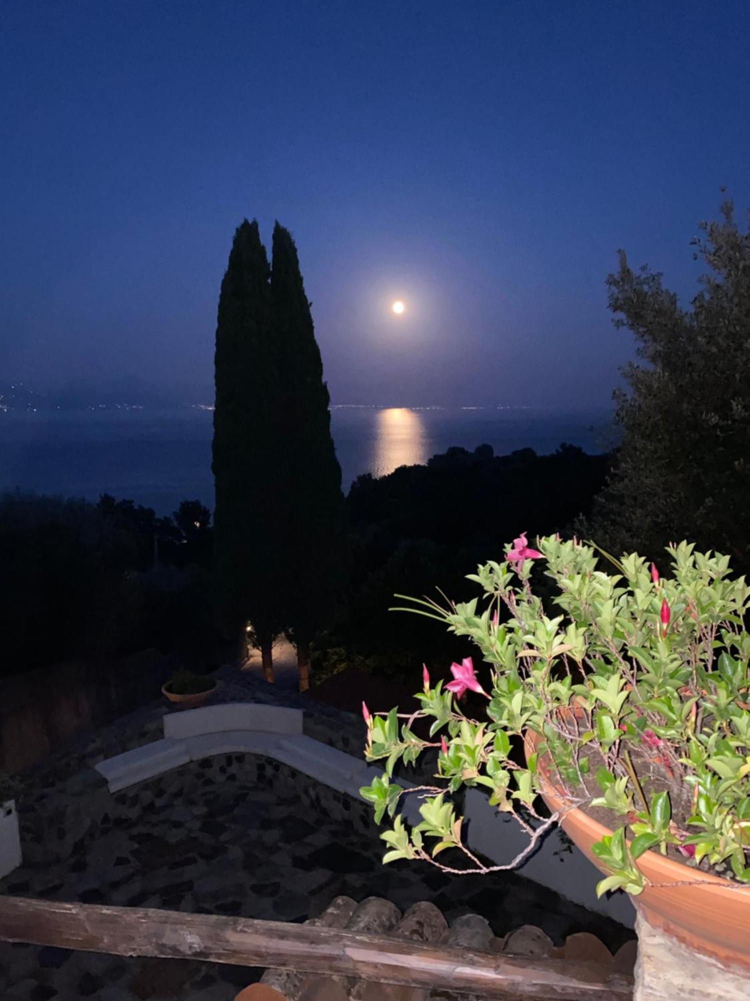 Maison Du Reve Scario Bagian luar foto